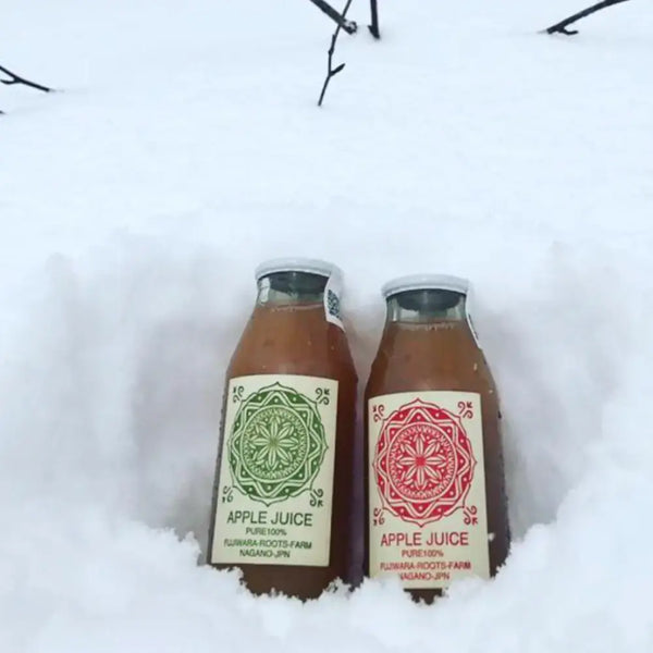 Fujiwara Roots Farm Pure Natural Nagano Apple Juice 180ml