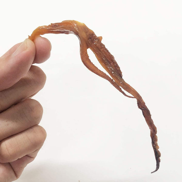 Genkotsu Japanese Seasoned Dried Squid Snack 60 pcs.