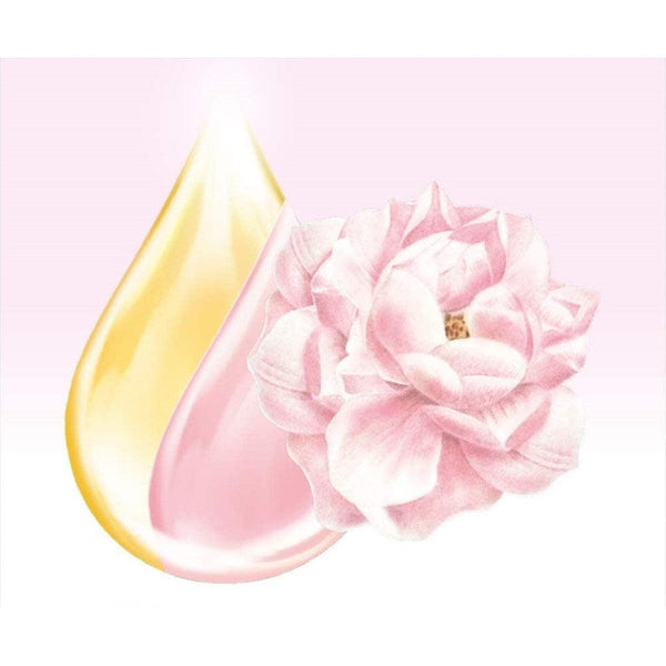 Lux Body Soap Soft Rose Foaming Body Wash Refill 300g