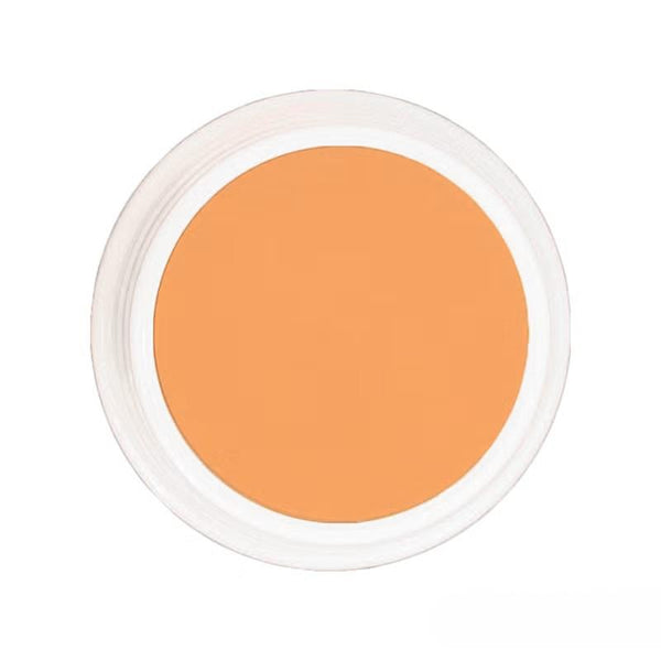 Naturactor Coverface Full Coverage Cream Foundation 20g