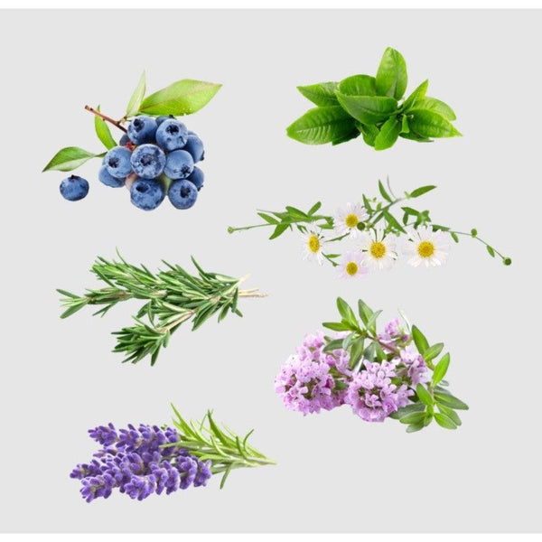 Maputi OFWC Organic Fragrance Cream 100ml