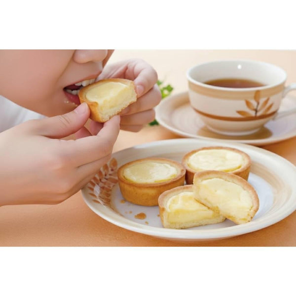 Shinori Hakodate Cheese Tarts Soft Hokkaido Cream Cheese Tart Cakes 3 Pieces