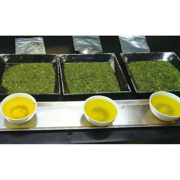 Suisouen Organic Ryokucha Catechin Green Tea Powder 40g