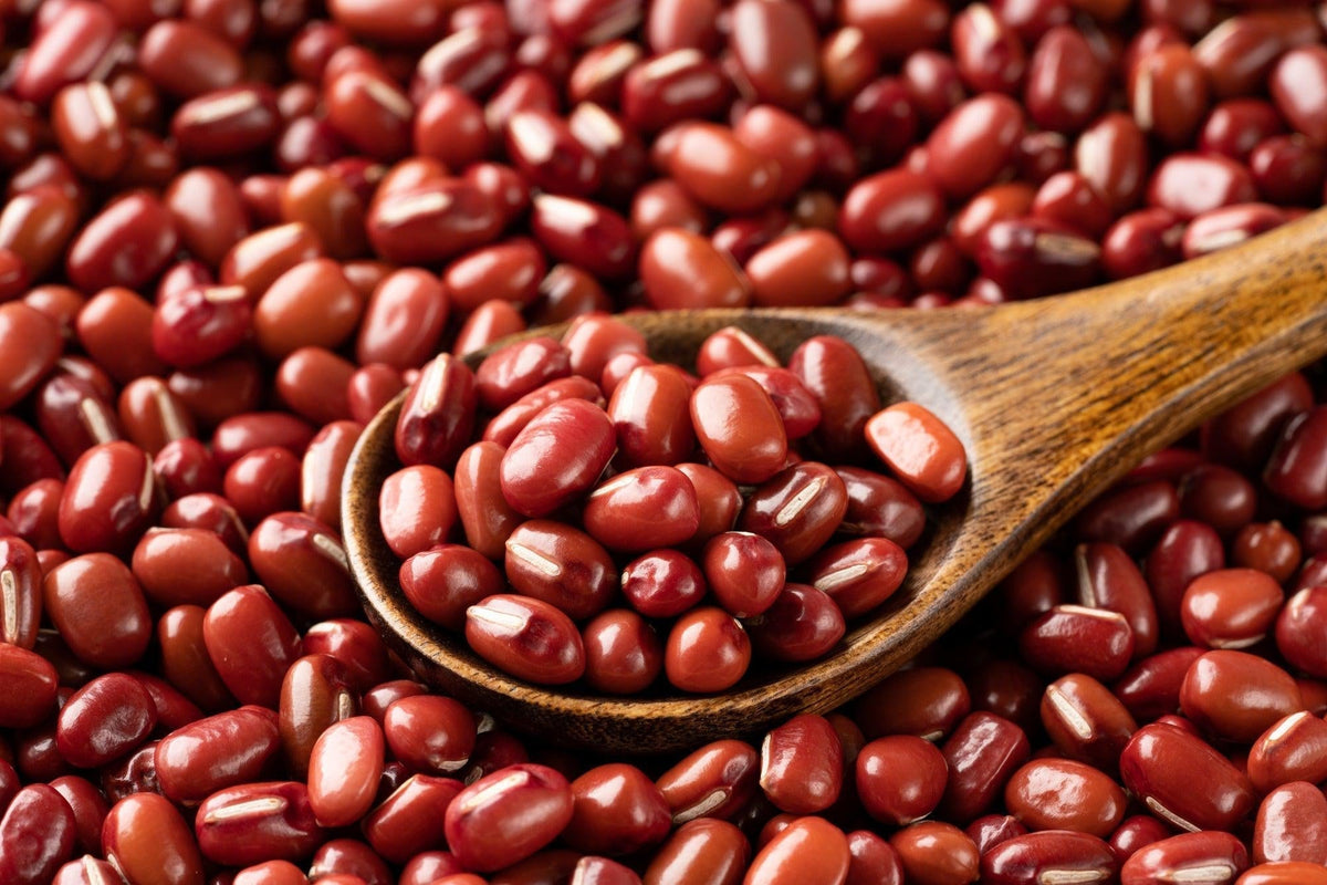 Azuma Beans Azuki Beans: Taste, Health Benefits, and Japanese Recipes