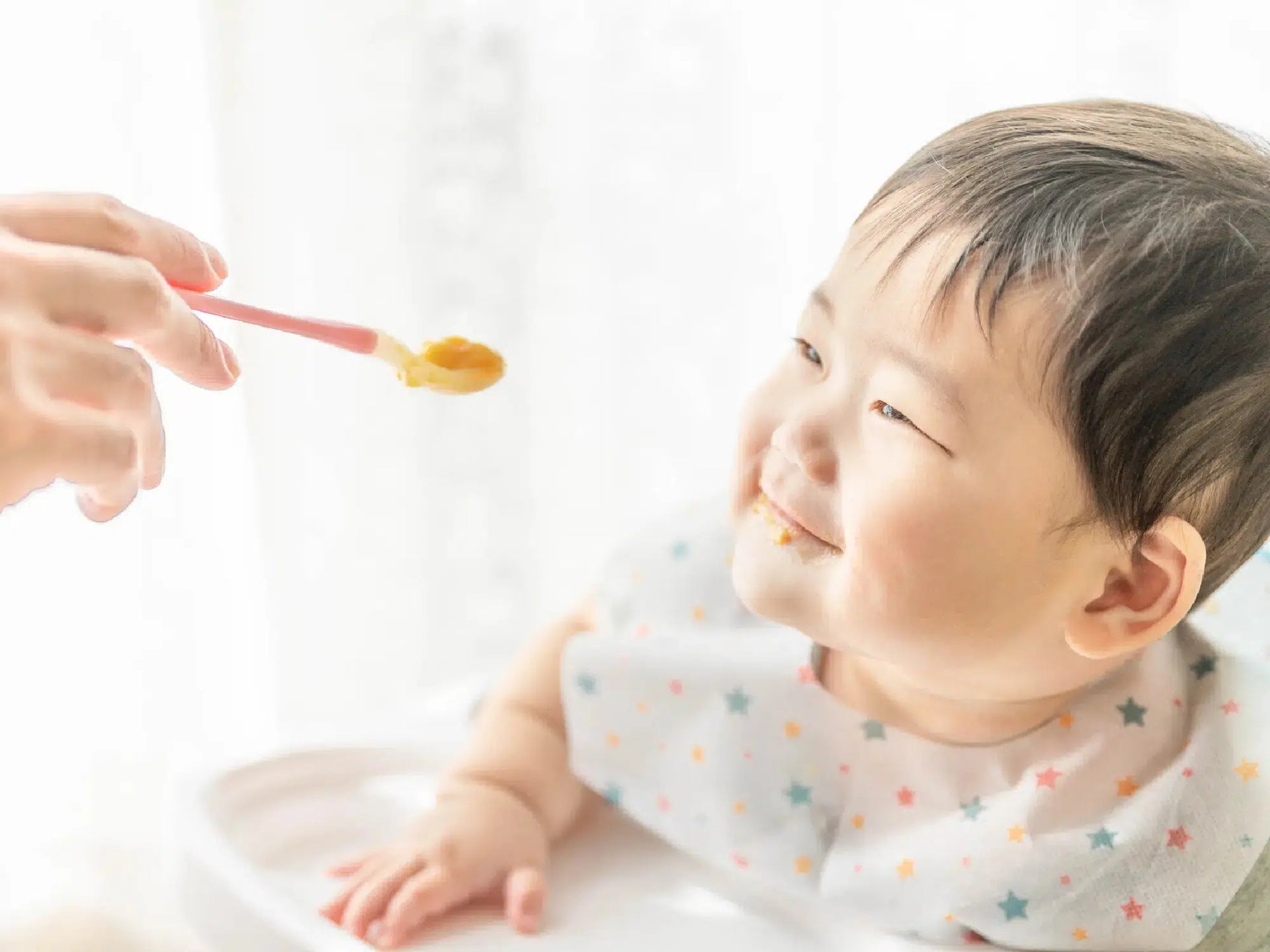 Japanese Baby Food