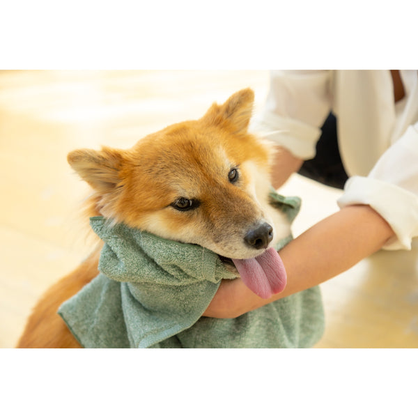 Jogan-Pet-Towel-Super-Absorbant-Bath-Towel-for-Pets-Green-34×78cm-8-2024-07-16T00:42:59.895Z.jpg