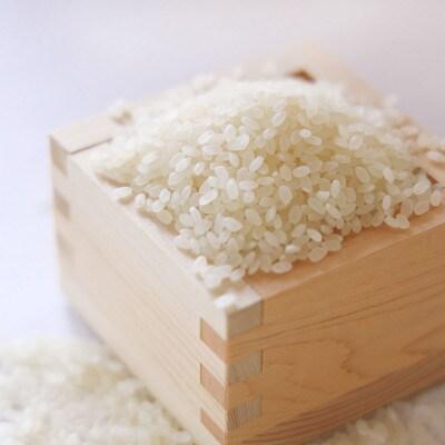 Organic-Koshikari-Hakumai-Rice-Japanese-White-Rice-2kg-2-2025-03-05T00:44:59.125Z.jpg