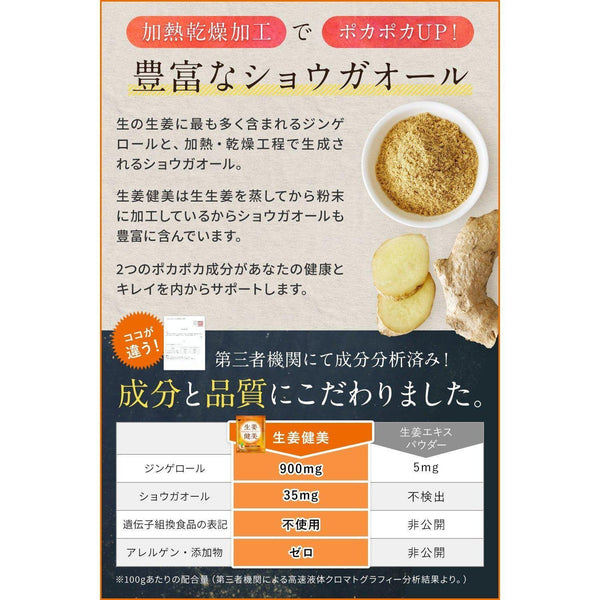 P-5-NCH-GINPOW-100-Shoga Kenbi Japanese Ground Ginger Powder 100g.jpg