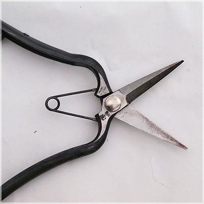 Saboten Blade & Knife Cleaner Eco-Friendly Disinfectant 300ml