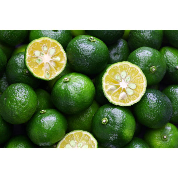 Shikuwasa-Juice-100%-Okinawa-Lime-Sour-Citrus-Juice-270ml-2-2025-02-26T05:13:16.686Z.jpg