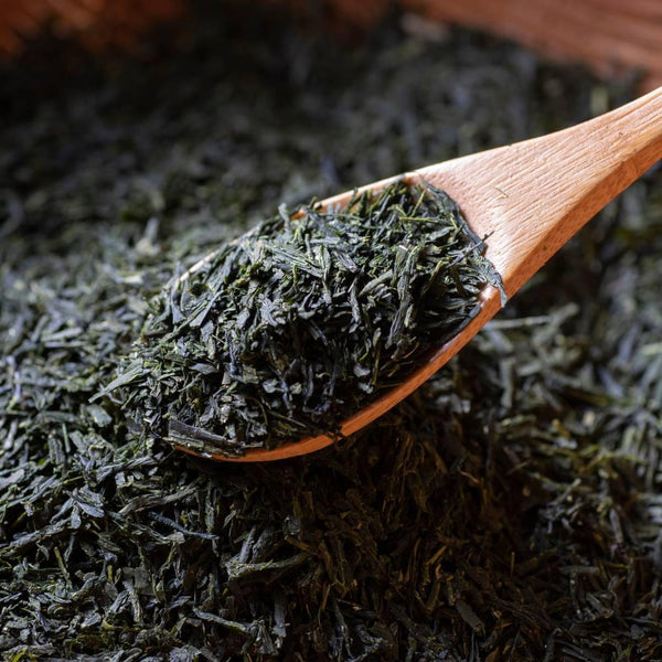 Ujien Kitashirakawa Gyokuro Highest Grade Loose Leaf Green Tea 100g